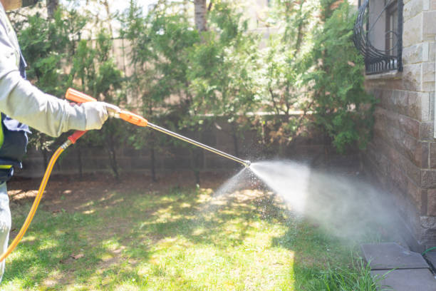 Best Pest Prevention Services  in Morenci, MI